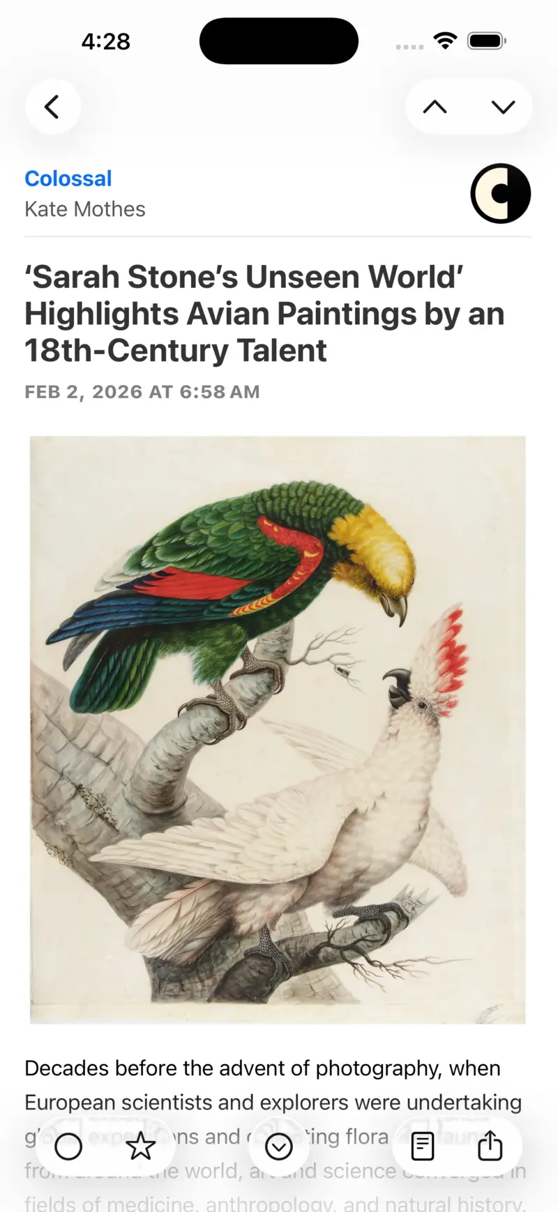 NetNewsWire iPhone article view